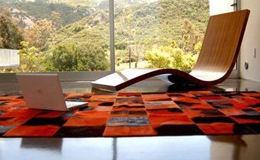 Area rugs provide an ideal habitat for a variety of pests.