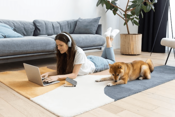 Protect Your Bedroom with Pet-Proof Carpet, Pet Perfect