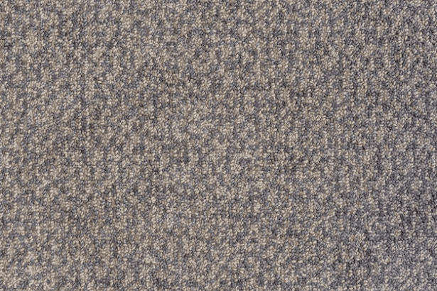 New Carpet Before the Holidays